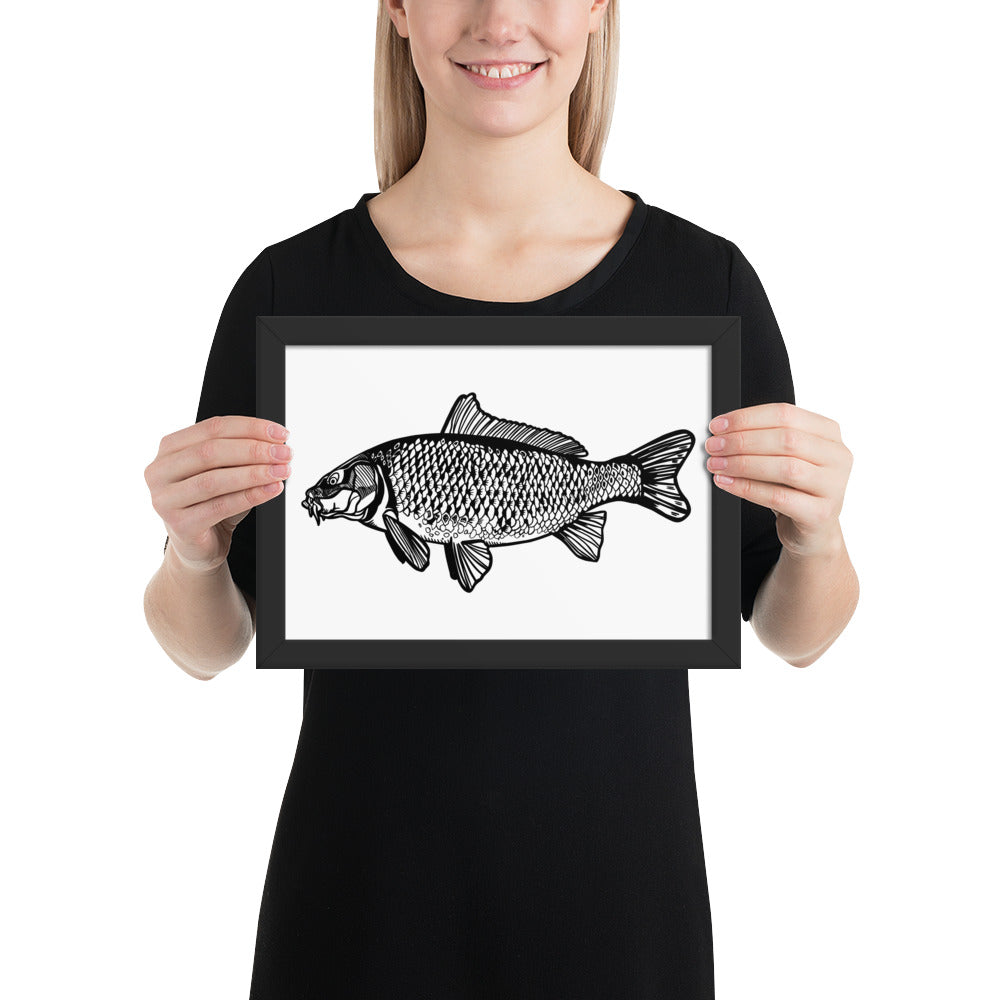 Common Carp Framed matte paper poster