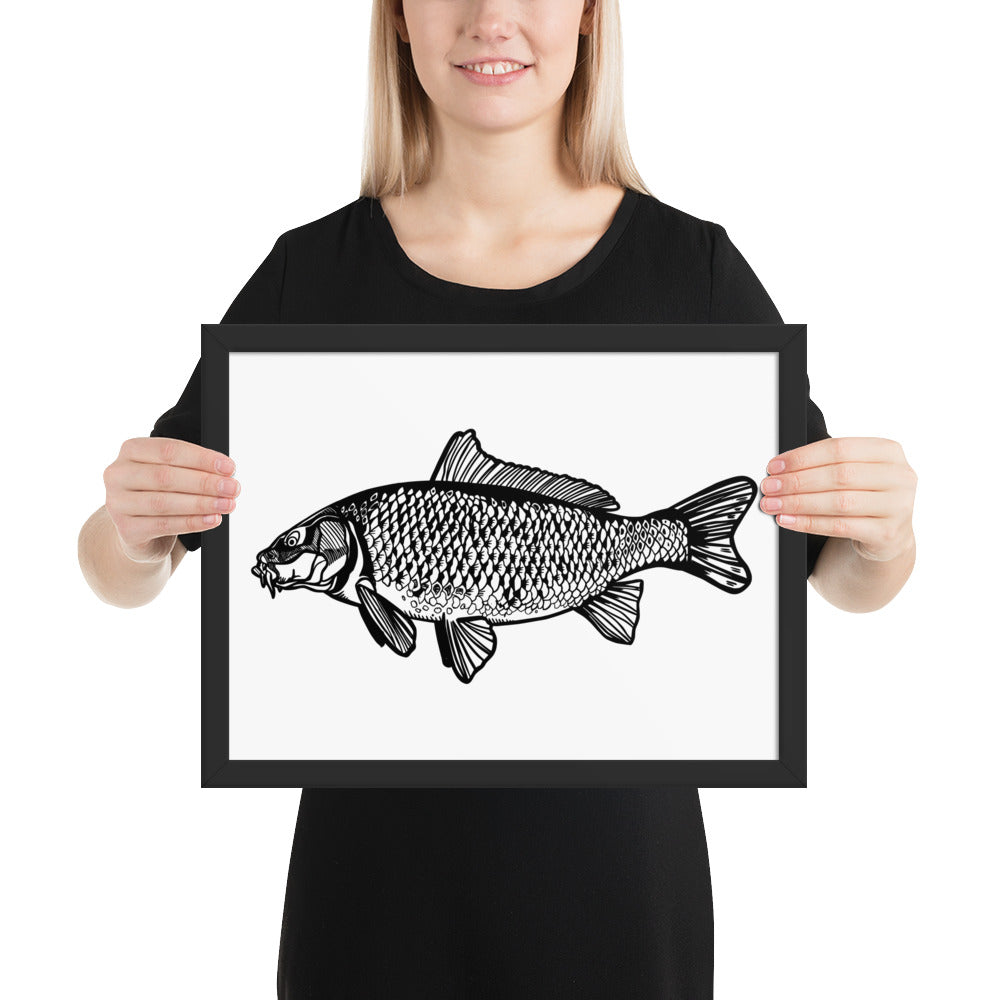 Common Carp Framed matte paper poster