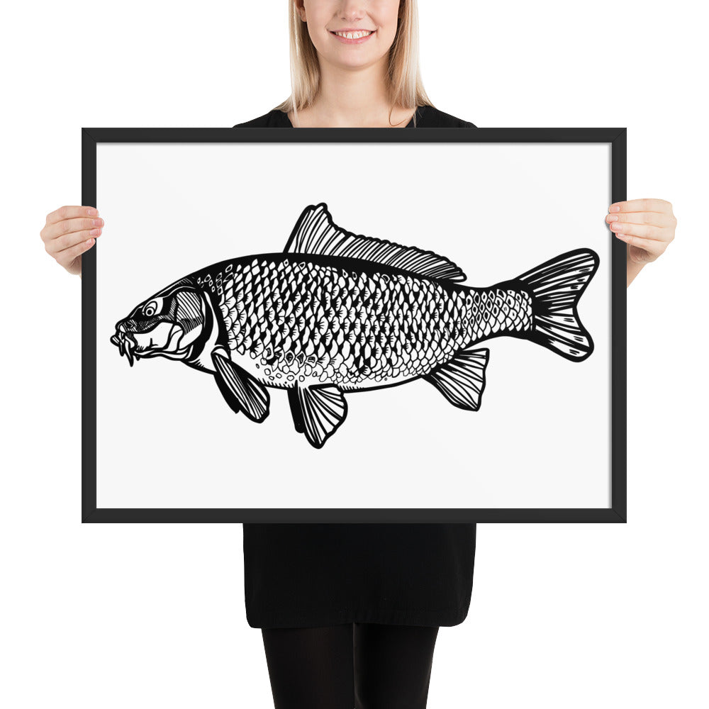 Common Carp Framed matte paper poster