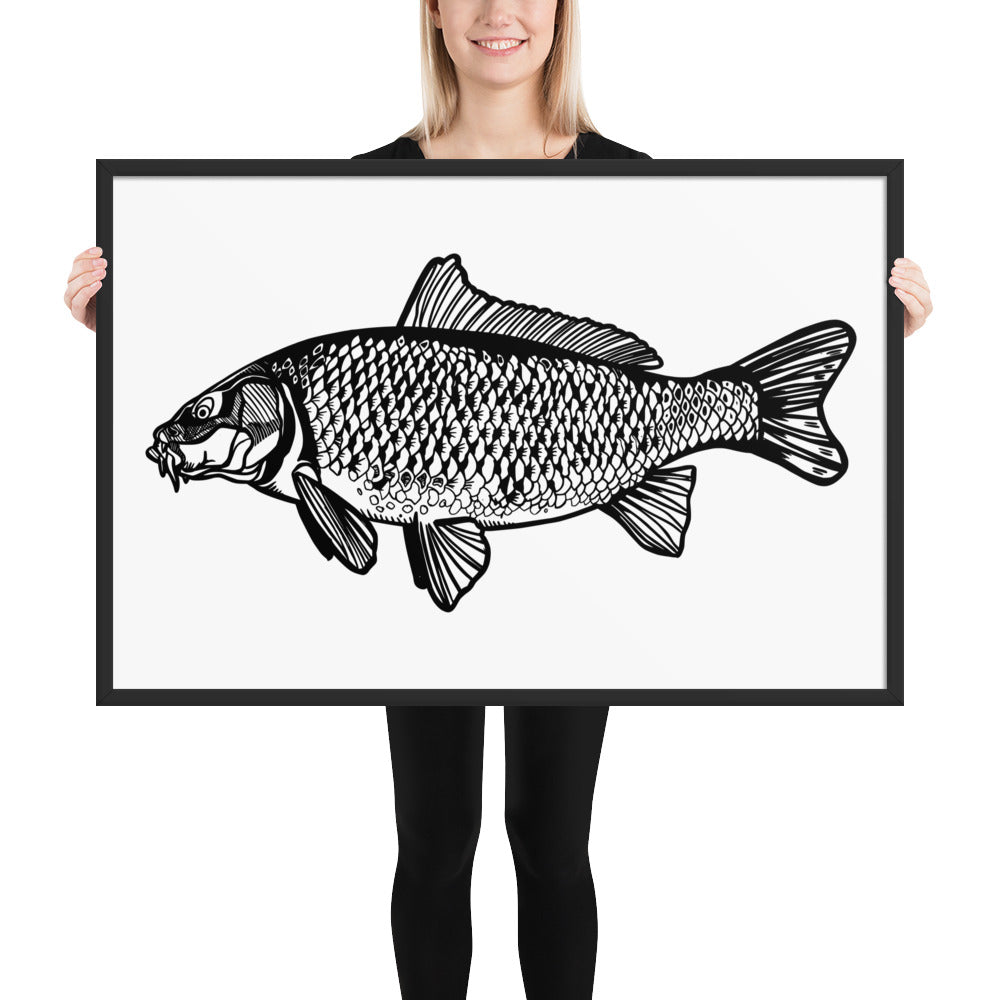 Common Carp Framed matte paper poster