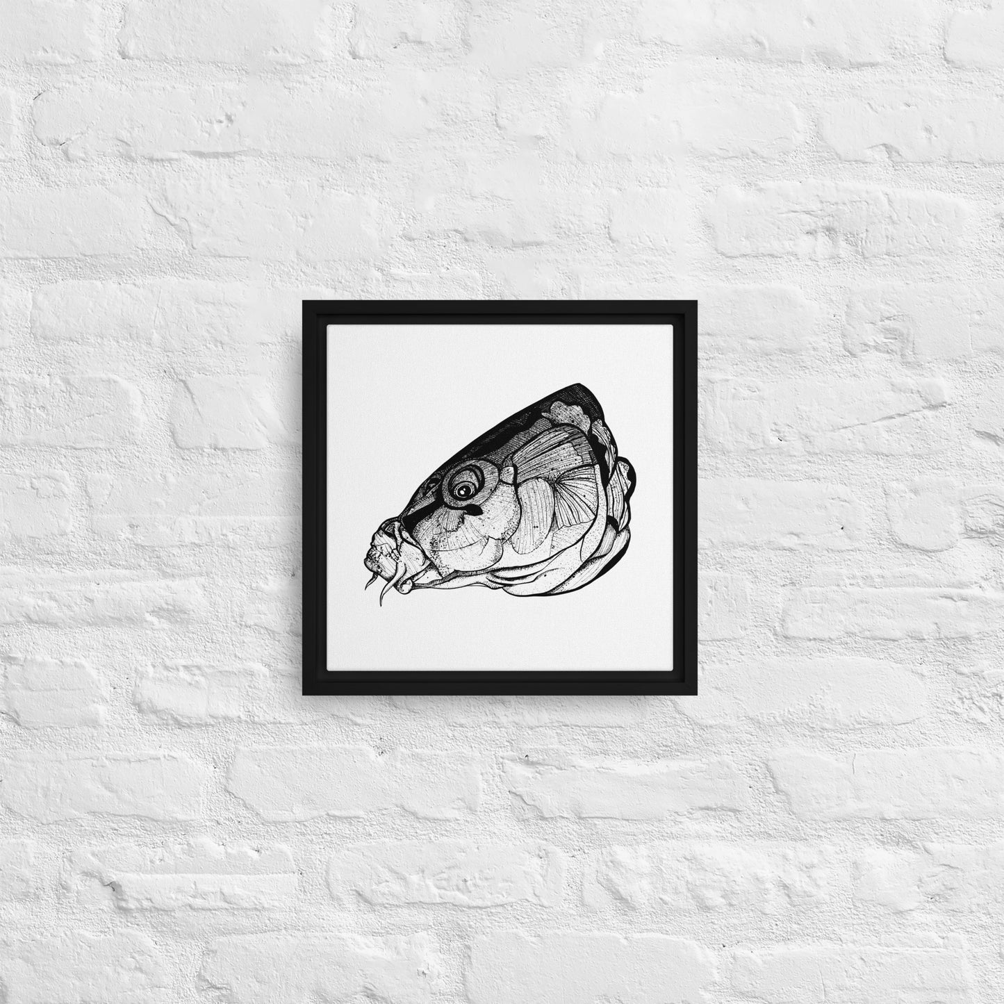 Carp Head Framed canvas