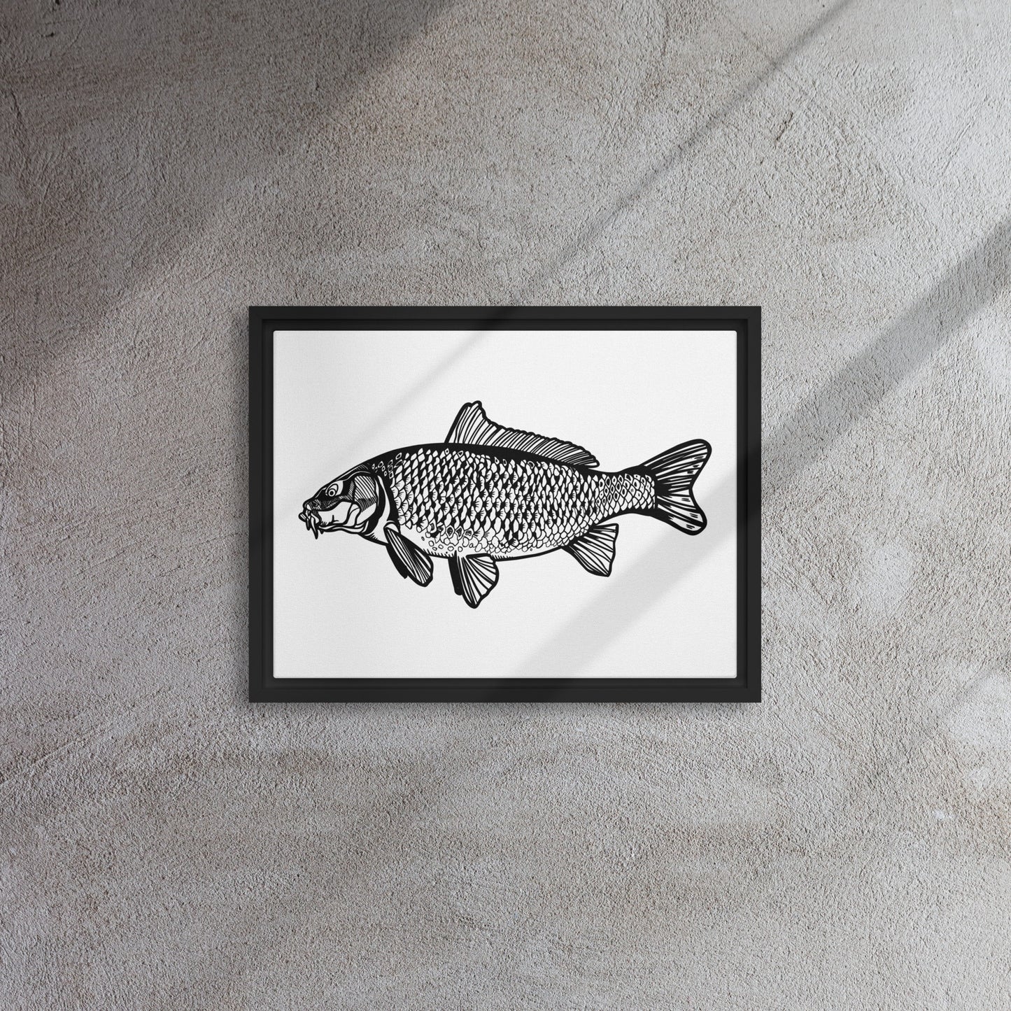 Common Carp Framed canvas