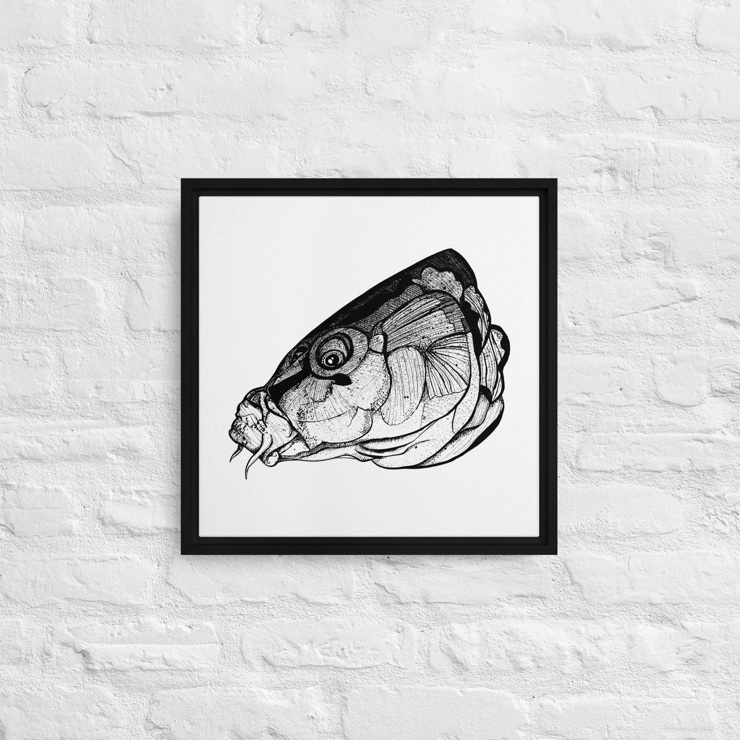 Carp Head Framed canvas