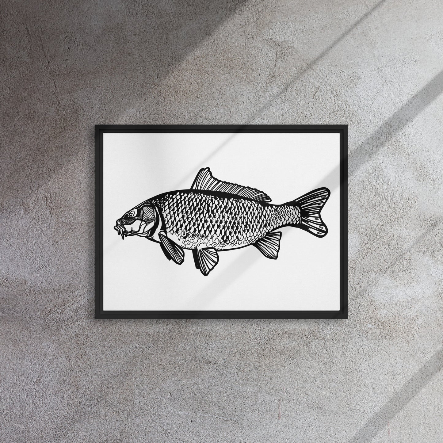 Common Carp Framed canvas