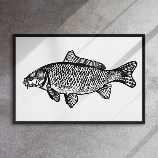 Common Carp Framed canvas